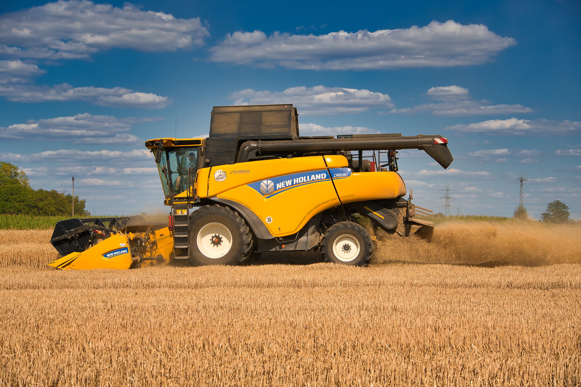 Wheat and barley harvest projections released